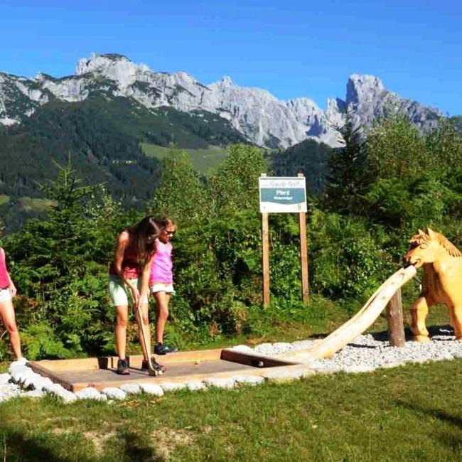 Plaik-Haeusl Villa Annaberg im Lammertal Exterior foto
